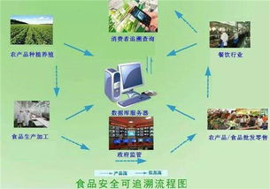 剖析物聯網能使一人養(yǎng)一萬頭豬 是真需求還是偽痛點的車聯網科技思考